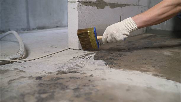 SJ Waterproofing Pros Waterproofing coverage map for Pleasant Shade, TN and surrounding area